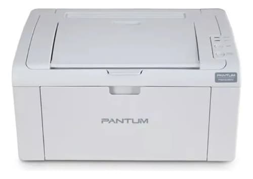 Impresora Laser Pantum P2509w Monocromatica Wifi Gris Gris