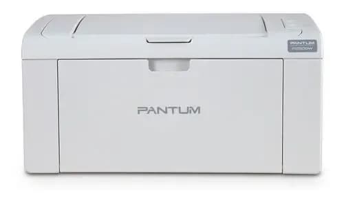 Impresora Simple Función Monocromática Pantum Hero P2509w Con Wifi Gris