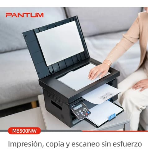 Impresora Multifunción Monocromática Pantum M6509wifi Usada2 Blanco